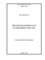 Hỏi cung bị can trong pháp luật tố tụng hình sự việt nam 