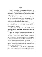 ĐỒ án NGHIÊN cứu BAO bì CHẤT dẻo và ỨNG DỤNG sản XUẤT BAO bì CHẤT dẻo của NHÃN HIỆU dầu ăn MARVELA 