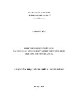 Phát triển dịch vụ ngân hàng tại ngân hàng nông nghiệp và phát triển nông thôn việt nam   chi nhánh láng hạ