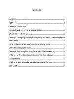 tiểu luận cao học tình trạng xâm phạm quyền sở hữu trí tuệ