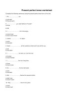 Present perfect tense worksheet