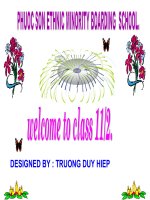 tGIÁO ÁN MÔN TIẾNG ANH LỚP 11  Unit 8: Celebrations