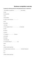 Sentence completion exercise 6 