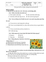 de-thi-hoc-ki-2-mon-khoa-hoc-lop-4