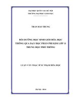 Bồi dưỡng học sinh giỏi hóa học thông qua dạy học phần phi kim lớp 11 trung học phổ thông 