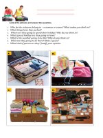 56916 holiday suitcase 4 