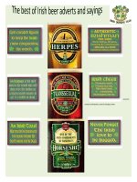 29102 best irish beer adverts and sayings 