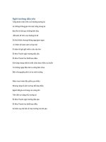 Từng bước chân trên con đường tương lai