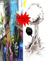 bài giảng hô hấp thực vật