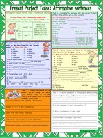 present perfect tense in green 