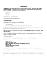 Determiner   english grammar 