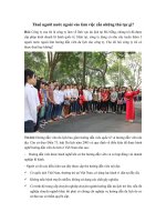 Thuê người nước ngoài làm việc cần những thủ tục gì?