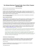 The ultimate business proposal guide how to pitch propose and persuade  