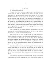 tiểu luận cao học đảng lãnh đạo về tôn giáo QUẢN lý HÀNH CHÍNH NHÀ nớc về tôn GIÁO ở nớc TA HIỆN NAY