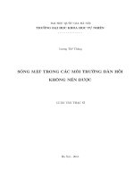 Sóng mặt trong các môi trường đàn hồi không nén được 