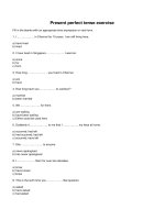 Present perfect tense exercise 