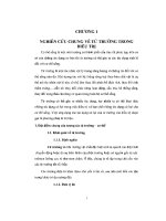 LUẬN án NGHIÊN cứu THIẾT bị từ TRỊ LIỆU MAGNOMED m310 