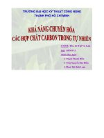 ĐỀ tài KHẢ NĂNG CHUYỂN hóa các hợp CHẤT CARBON TRONG tự NHIÊN 