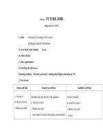 Giáo án Tiếng Anh 12 unit 6: Future jobs