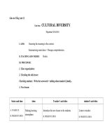 Giáo án Tiếng Anh 12 Unit 2: Cultural diversity