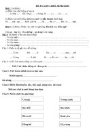 DE GIAO LUU HSG LOP 1 TOan VA TV