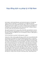 Hợp đồng dịch vụ pháp lý ở Việt Nam