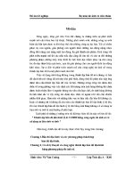 ĐỒ án THÀNH lập bản đồ địa HÌNH tỷ lệ 1 trên 10 