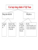KIẾN THỨC ÔN TẬP LỚP 5