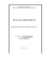 Thiết kế hệ thống sấy cà rốt bằng băng tải