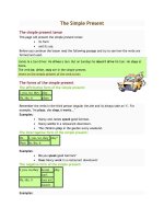 The simple present  english grammar 