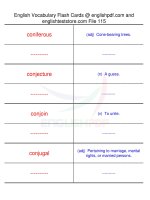 TOEFL IBT vocabulary flash cards115 