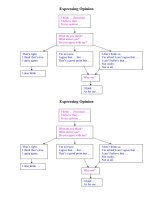 49466 expressing opinion 