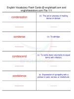 TOEFL IBT vocabulary flash cards111 