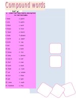 24194 compound words 