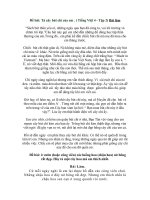 Một số bài văn lớp 4