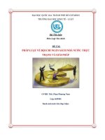 ĐỀ tài PHÁP LUẬT về bội CHI NGÂN SÁCH NHÀ nước   THỰC TRẠNG và GIẢI PHÁP 