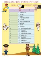 job and job description 