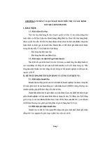 BÁO cáo THỰC tập tốt NGHIỆP   kế TOÁN TIÊU THỤ và xác ĐỊNH kết QUẢ KINH DOANH 