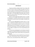 BÁO cáo THỰC tập kế TOÁN THU MUA và TIÊU THỤ HÀNG HOÁ tại CÔNG TY TNHH TRUNG DŨNG 