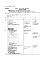 Giáo án Tiếng Anh 11 unit 9: The post office