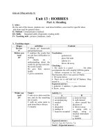 Giáo án Tiếng Anh 11 unit 13: Hobbies