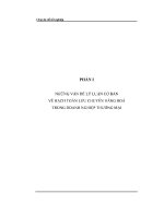 CHUYÊN đề HẠCH TOÁN kế TOÁN lưu CHUYỂN HÀNG HOÁ tại CÔNG TY TNHH THƯƠNG mại và DỊCH vụ HOÀNG KHUYÊN 