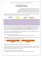 LA FRASE NOMINAL o SUSTANTIVA 