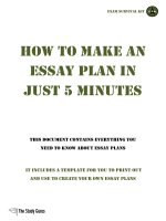 TSG essay plan template 