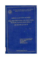 Biện pháp nâng cao chất lượng tín dụng tại ngân hàng Đông Á chi nhánh Lê Văn Sỹ