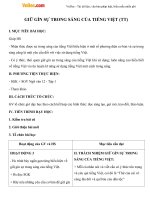 Giáo án Ngữ văn 12 tuần 3: Giữ gìn sự trong sáng của tiếng Việt (tiếp)