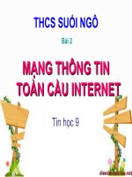 Bai 2 mang thong tin toan cau internet