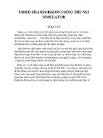 VIDEO TRANSMISSION USING THE NS2 SIMULATOR