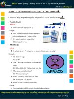 Cụm tính từ thông dụng nhất trong tiếng anh giao tiếp và TOEIC modified