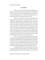 ĐỀ tài THỰC TRẠNG và GIẢI PHÁP NÂNG CAO HIỆU QUẢ đầu tư NHÀ ở CHO NGƯỜI có THU NHẬP THẤP 